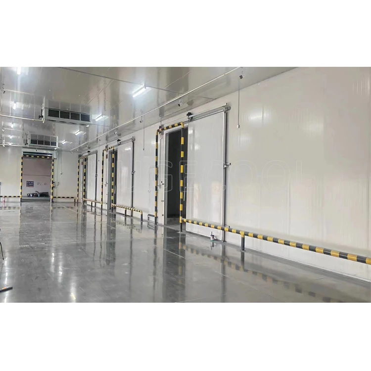 Freezing Equipment, 220V, 800ton - detail 4