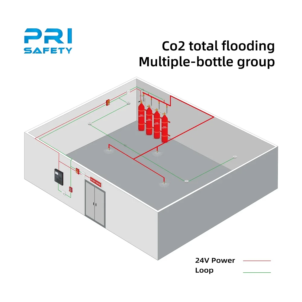 High Pressure Co2 Total Flooding Fire Suppression System