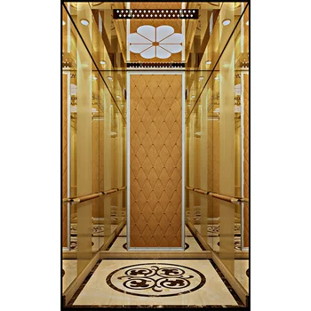 Luxury Design Passenger Elevator  Hot Sale Low Cost Shopping Mall SMR/MRL Lift