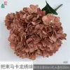 A bunch of macaron hydrangeas, HJX, brown.
