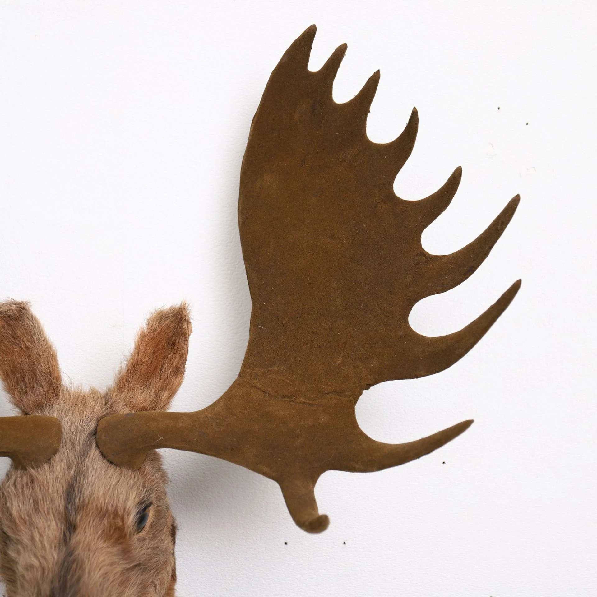 Simulation Reindeer Head Model 1 to 1 Real Size Moose Head Wall Decorations for Home