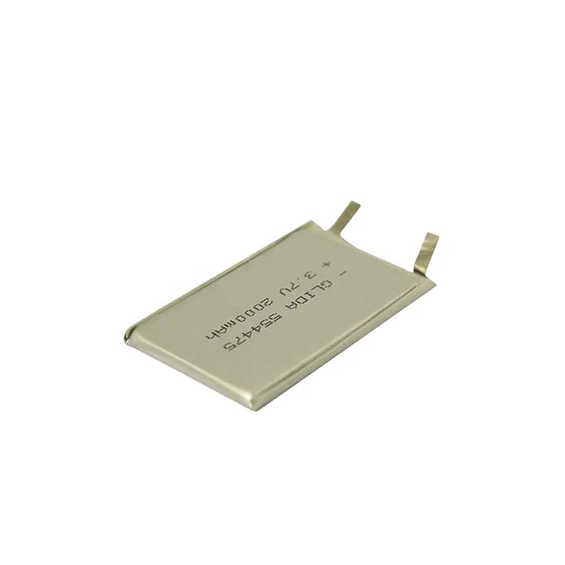 Lithium polymer battery with leading wire