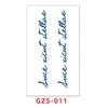 GZS-011