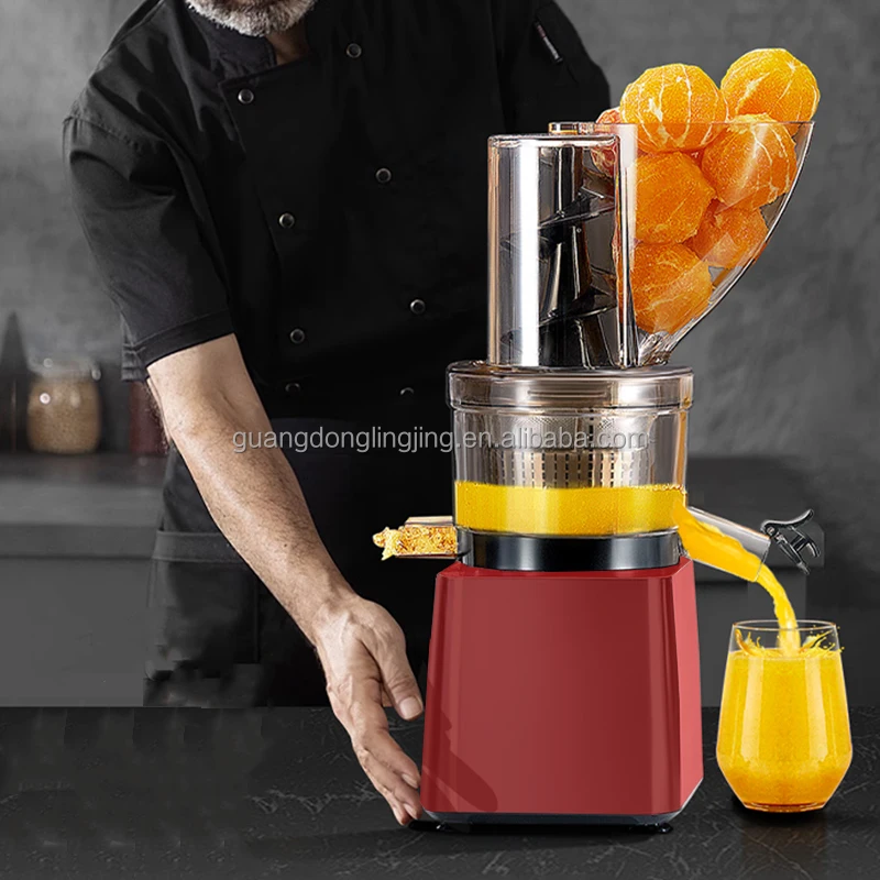 Slow Juicer Fruit Juicer Brands F2500 Self Feeding Whole Fruit Juicer