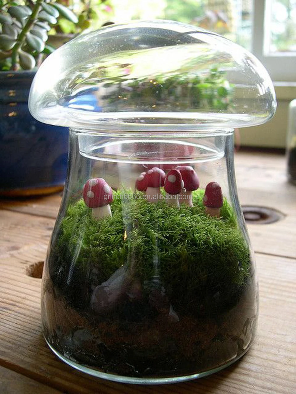 Authentic Live Moss Terrarium Glass Vase (8