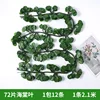 ใบไม้ Crabapple 72 ใบ, 12 แถบ