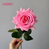 #6 pink