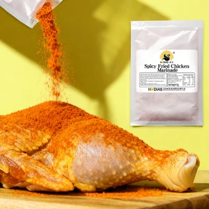 Professional Manufacturer Supply Spicy Chicken Marinade Powder for Franchise Restaurants and Fast Food Chains