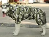 CAMUFLAJE