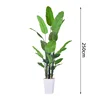 250cm h traveler banana-with black plastic basin