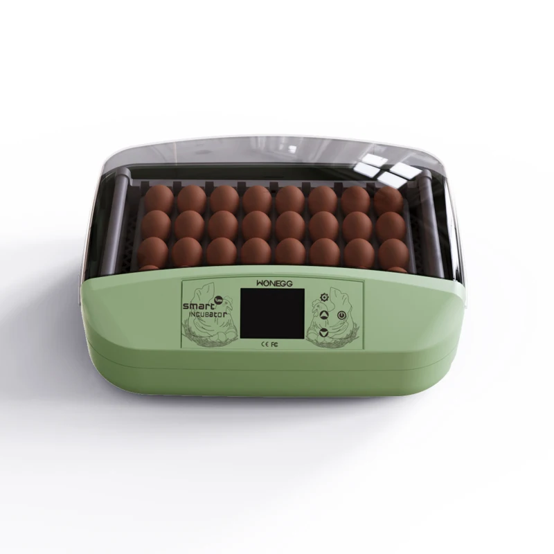 Hhd Wonegg Temperature Incubators Aerobic Incubator Light With Eggs Egg