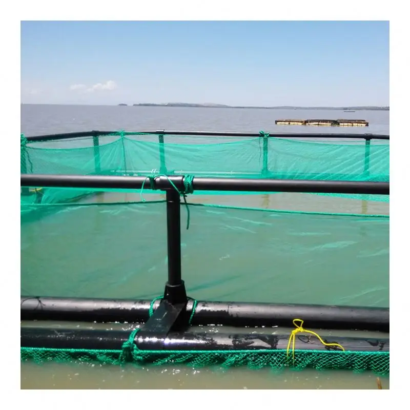 hdpe floating dock for boat farming