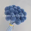 Gray-blue