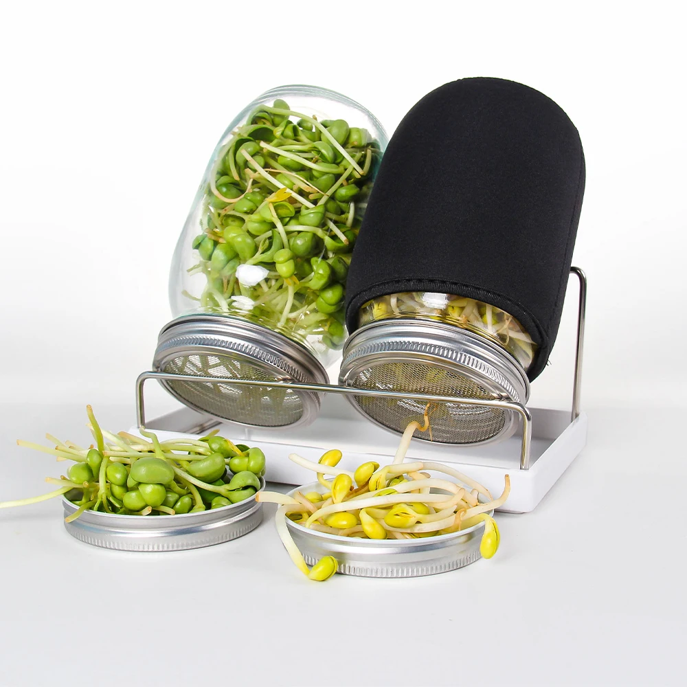 Sprout Maker Seed Sprouting Jar Kit 2 Sprouter Mason Jars With Screen