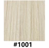 #1001
