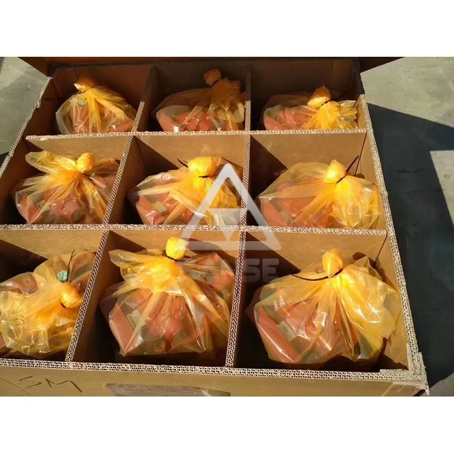 EX200-2 Swing Motor 4247870 - Reliable Excavator Parts