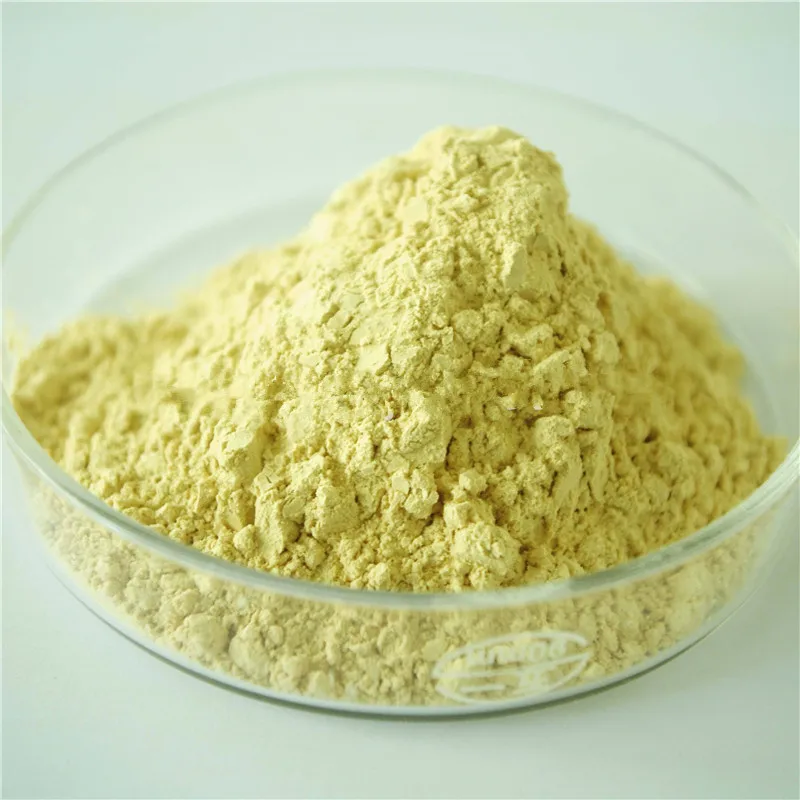 High Quality Kaempferol Powder Sophora Japonica Extract Kaempferol Extract For Best Price