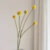Amarillo