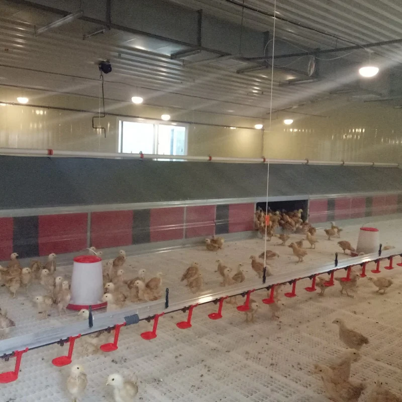 Poultry Nesting Box Automatic Collector Egg Nest Chicken Farm Laying Eggs Roll Away Hens Coop Machine