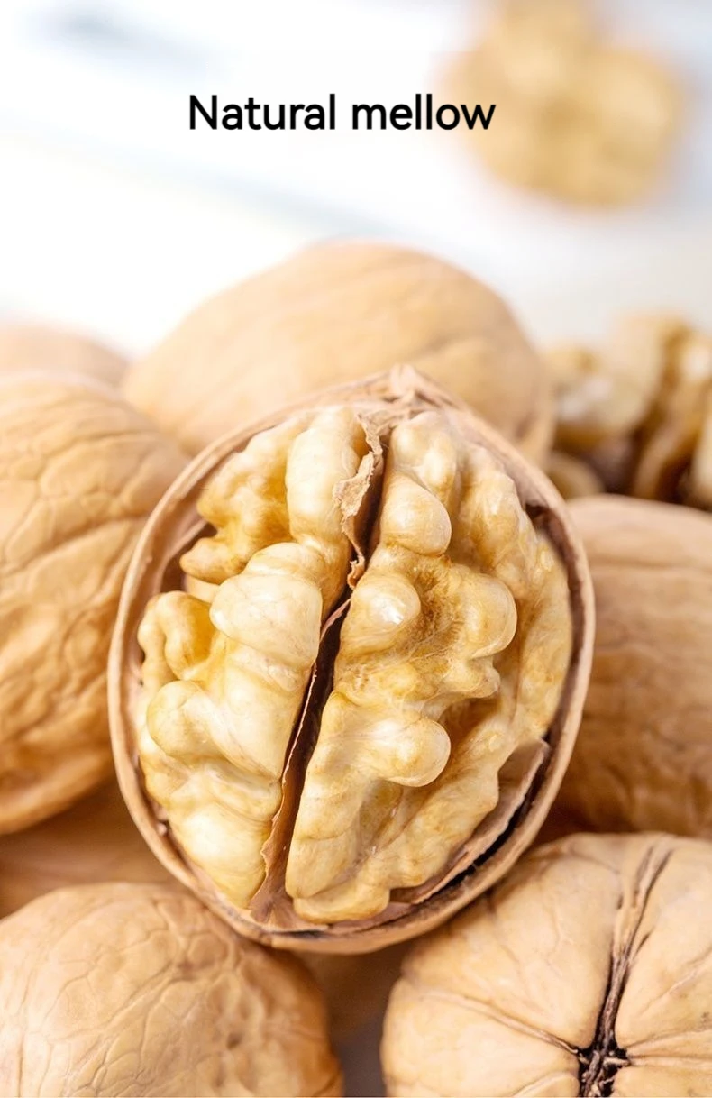 China Origin Wholesale Walnuts With Shell Buy Walnuts With Shell