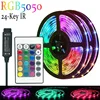 Tira LED RGB 5050 con control remoto de 24 teclas 30LED/m