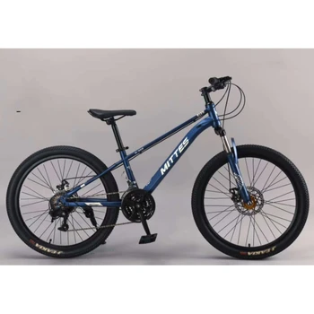 20-Inch Children's Mountain Bike - Stylish 21 Speed Folding MTB