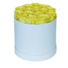 Rosa-15-Round