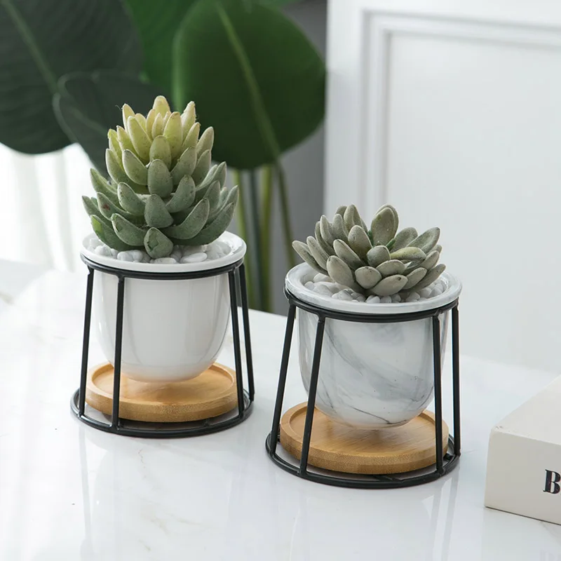 Simple White Creative Succulent Owl with Treetop Bamboo Frame Zakka Combination Potted Ceramic Plant Pots