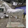 Plata