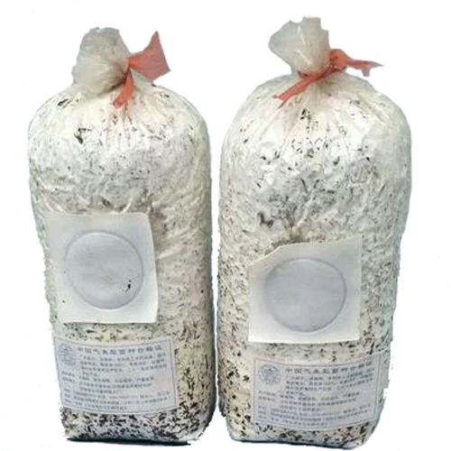 BANGGU shiitake mushroom grow bags spawn bags