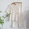 Oso beige burbuja