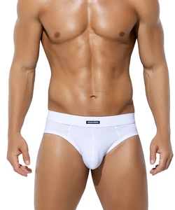 Breathable Back Mesh Design Men's Sexy Underwear Briefs Soft Polyamide Costom Elastic Band logo Mens Briefs