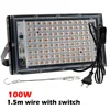 100W with plug hanging rope only