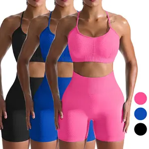 Wholesale Minimalist Three-Color Seamless Yoga Sports Suit Lightweight Breathable Cowl Neck High Waist Vest Shorts Plus Set