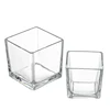 transparente
