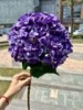 #7 dark  purple