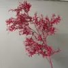 Granos de arroz engomado rojo vino