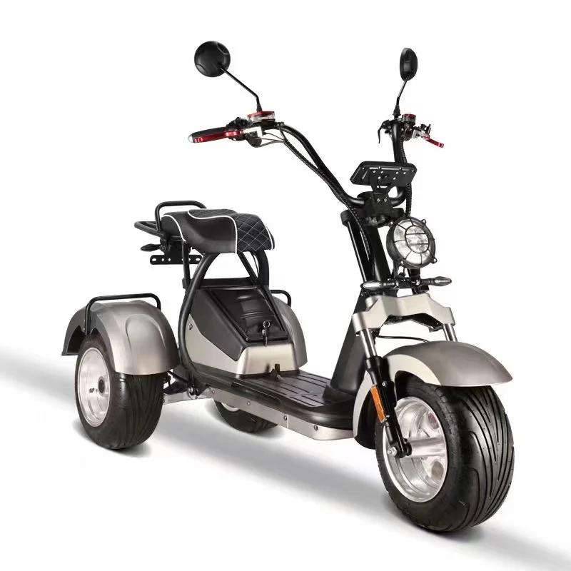 Electric Trike 3 Wheel Electric Citycoco E Scooter Adults 3000W 2000W E Scooter Three Wheel Scooter