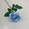 Azzurro di cielo