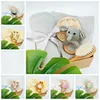 one 5 pcs set