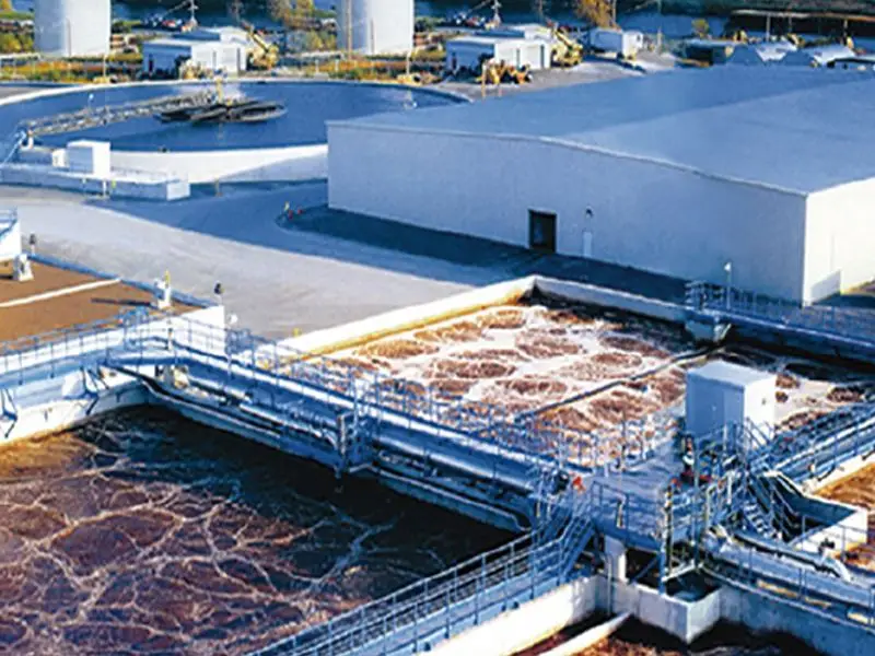 High Quality Chemical Waste Water Treatment Polymer Powder Flocculant