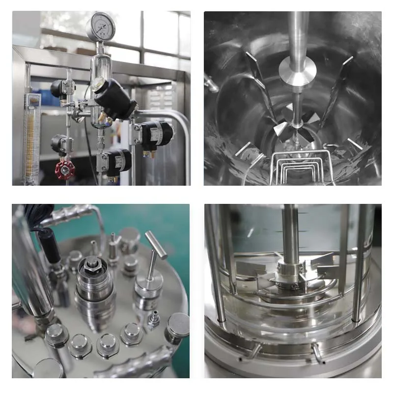 Spirulina Cultivation Pipeline Photobioreactor Temporary Immersion Bioreactor