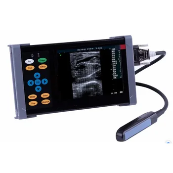 upgraded A20 Icen Handheld Veterinary Ultrasound Machine 5.6 Low Price Portable Animal Cow Cattle Vets Ultrasound Scanner