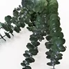 blackish green