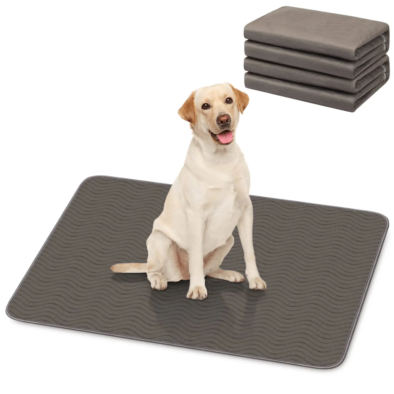 Puppy Training Pets Pad