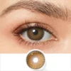 Brown/L244