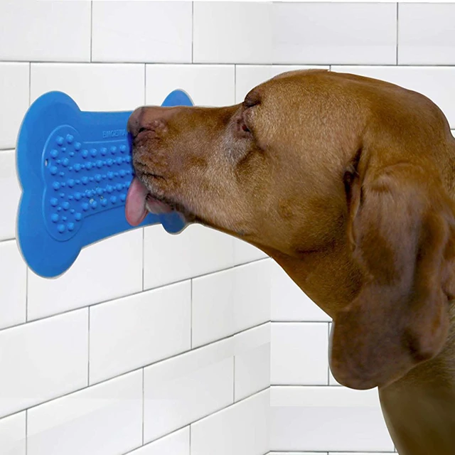 kitten feeding bottle