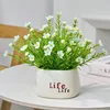 Bassin en plastique Blue Life avec gypsophile