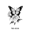 ผีเสื้อ-8538