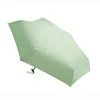 Conjunto de caja de regalo con protector solar de vinilo negro, estilo regular, verde menta